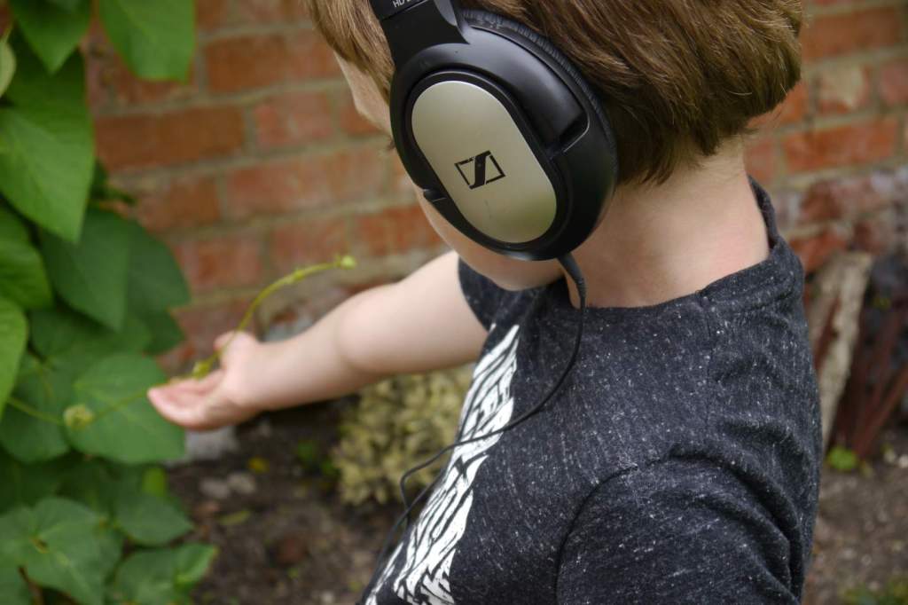 This Is Our Garden In The&nbsp;Morning